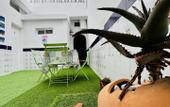 Туры в отель El jardin de Iris