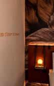 Туры в отель AVES Hotel & Apartment Arosa