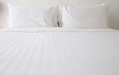 Туры в отель Hotel Madame