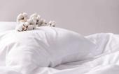 Туры в отель Hotel Madame