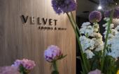 Туры в отель Velvet rooms & more