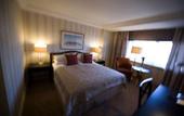 Туры в отель InterContinental Wien