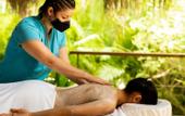 Туры в отель Hotel Nantipa - A Tico Beach Experience