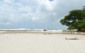 Туры в отель Hotel Nantipa - A Tico Beach Experience