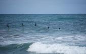 Туры в отель Hotel Nantipa - A Tico Beach Experience