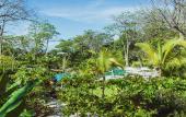 Туры в отель Hotel Nantipa - A Tico Beach Experience