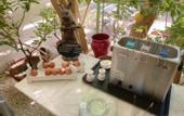Туры в отель Hotel de Charme L'Amandiere