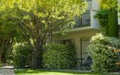 Туры в отель Hotel de Charme L'Amandiere