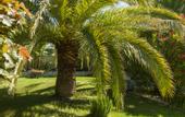 Туры в отель Hotel de Charme L'Amandiere