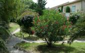 Туры в отель Hotel de Charme L'Amandiere