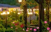 Туры в отель Nohur Hotel Gabala