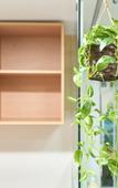 Туры в отель Snowflower Guesthouse