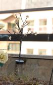Туры в отель Snowflower Guesthouse