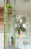 Туры в отель Snowflower Guesthouse