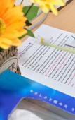 Туры в отель Snowflower Guesthouse