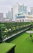Туры в отель Snowflower Guesthouse