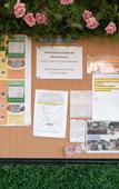 Туры в отель Snowflower Guesthouse