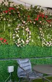 Туры в отель Snowflower Guesthouse