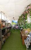 Туры в отель Snowflower Guesthouse