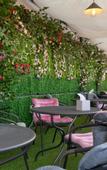 Туры в отель Snowflower Guesthouse