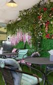 Туры в отель Snowflower Guesthouse