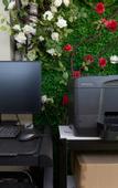 Туры в отель Snowflower Guesthouse