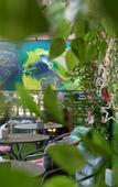 Туры в отель Snowflower Guesthouse