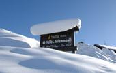 Туры в отель Intermonti hotel Livigno