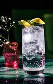 Туры в отель The Comodo Bad Gastein, a Member of Design Hotels