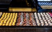 Туры в отель Woods Hotel Geneve - Thoiry