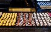 Туры в отель Woods Hotel Geneve - Thoiry