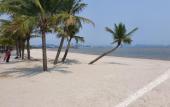 Туры в отель Golden Palm HaLong Hotel