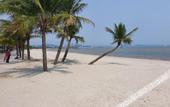 Туры в отель Golden Palm HaLong Hotel