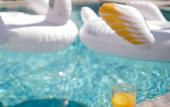 Туры в отель Swan Boutique Hotel