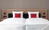 Туры в отель Tailormade Hotel BAB Bachenbulach