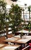 Туры в отель Pod Zidom Rooms