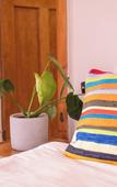 Туры в отель Villa Viva Hotel Hamburg