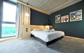 Туры в отель Greet Hotel Cernay Mulhouse