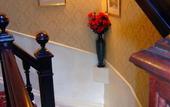 Туры в отель International Guest House