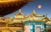 Туры в отель UrCove by Hyatt Xi'an Yanta High-tech Zone Hotel