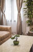Туры в отель Luxury Hotel King Bo