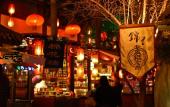 Туры в отель CYNN XANADU HOTEL, CHENGDU