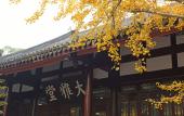 Туры в отель CYNN XANADU HOTEL, CHENGDU
