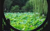Туры в отель CYNN XANADU HOTEL, CHENGDU