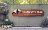 Туры в отель CYNN XANADU HOTEL, CHENGDU