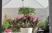 Туры в отель B&B I Colori della Puglia