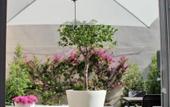 Туры в отель B&B I Colori della Puglia