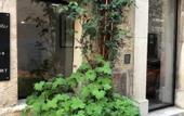 Туры в отель Demeure d'Hotes Le Rocher