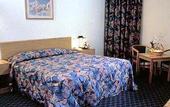 Туры в отель International Rotana Inn