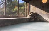 Туры в отель Hakone Suisen